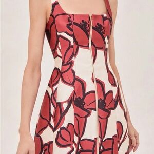 Alexis Claire Mini Dress